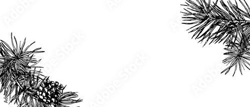 Vector border template for christmas or winter holidays. Outline sketch in vintage linear style of pine branches with cones. Retro xmas horizontal background with evergreen tree branches in engraving 
