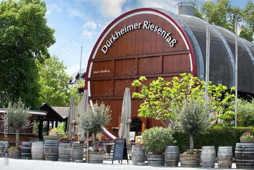 Rolling vineyard landscape in the Palatinate region near Bad Dürkheim, Germany, showing rows of grapevines across gentle hills under natural daylight.