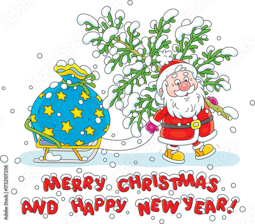 On the snowy night before Christmas funny Santa Claus with a felled small fir tree pulling his sledge with a big magical bag of winter holiday gifts for little kids, vector cartoon illustration