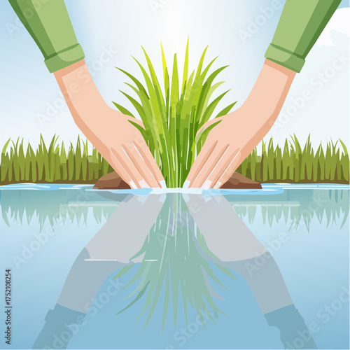 Hands Planting Rice An Illustration of Agricultural Harmony and Growth in the Water