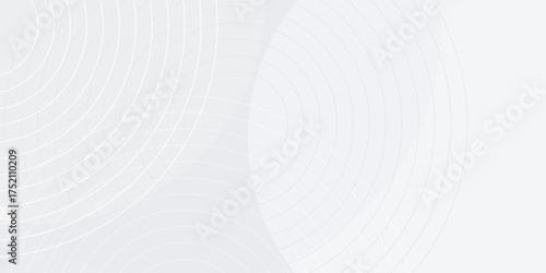 Elegant white geometric abstract background overlap layer on bright space with lines effect decoration. Modern graphic design element circles style concept for banner.