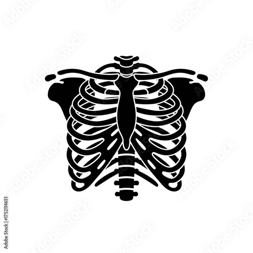 Black and White Illustration of Human Rib Cage Anatomy.