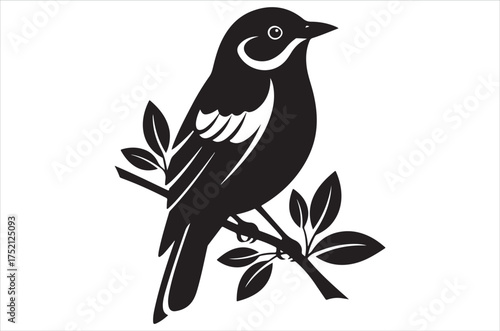 Myna bird silhouette bundle  vector, illustration, design, icon, retro on white background.