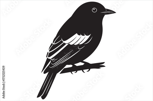 Myna bird silhouette bundle  vector, illustration, design, icon, retro on white background.