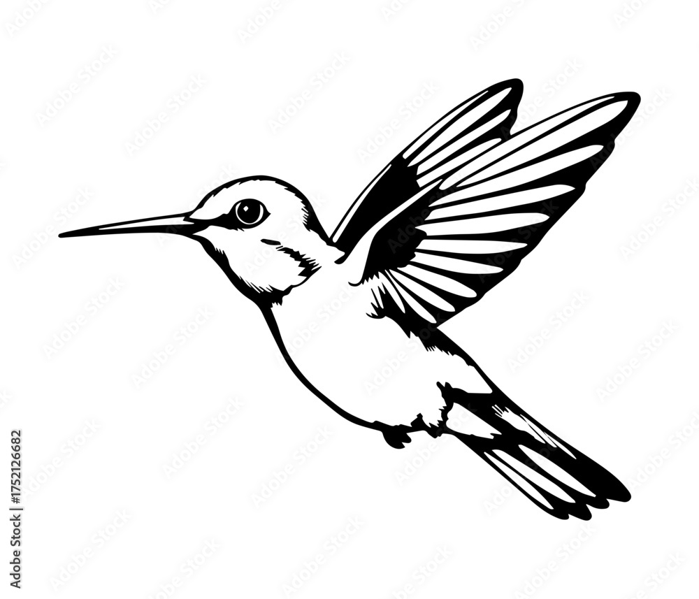 Fototapeta premium outline silhouette of a hummingbird in flight