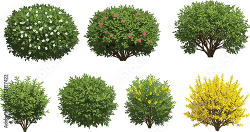 Ornamental Shrub and Bush Collection with Flowering and Foliage Variations for Botanical Vector Illustration, Gardening Design, and Landscaping Use