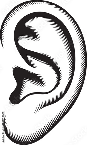 A detailed illustration of a human ear showcasing its intricate form