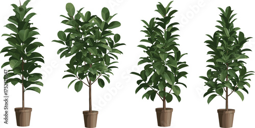 Realistic potted indoor trees illustration with lush green foliage, tropical houseplants in brown pots, natural greenery vector art for decor