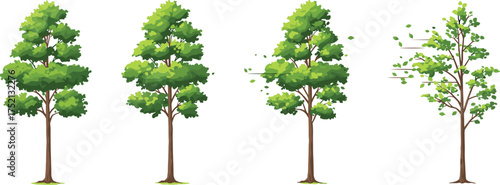 Tree leaf shedding progression vector illustration showing seasonal foliage loss stages, abstract nature artwork for autumn, environment, and creative design