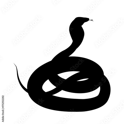 Snake Silhouette Danger