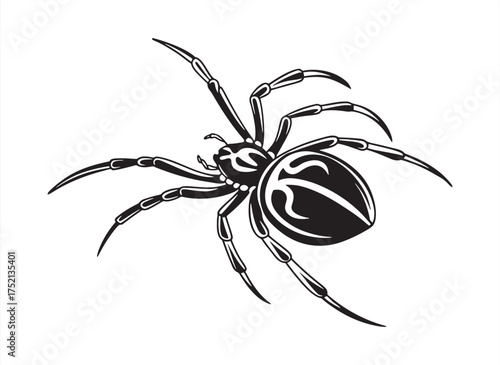 Black spider silhouette on white background with creepy horror tattoo design elements