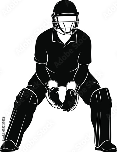 Silhouette of a cricket wicket keeper in a crouched defensive stance ready to catch the ball