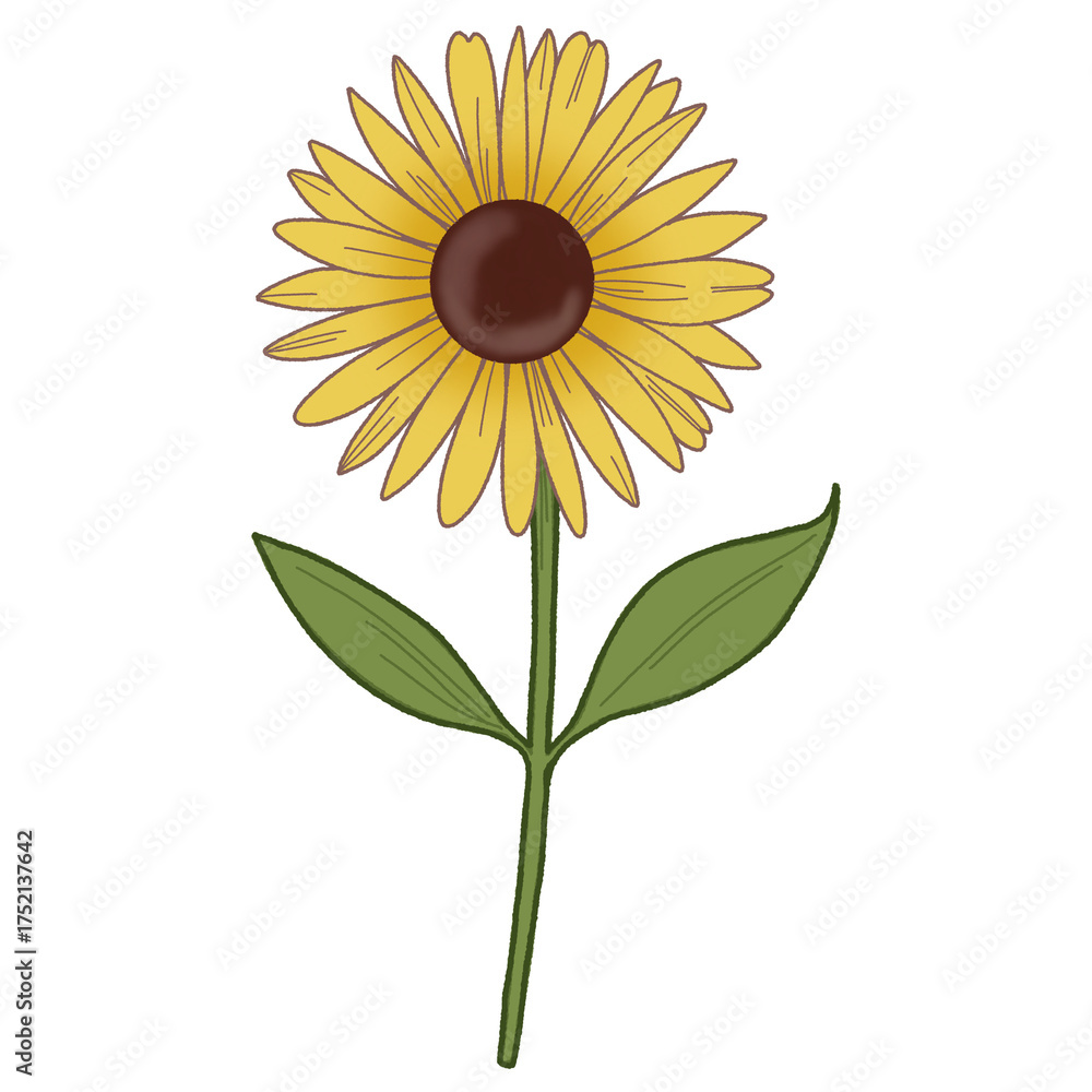 Fototapeta premium flower