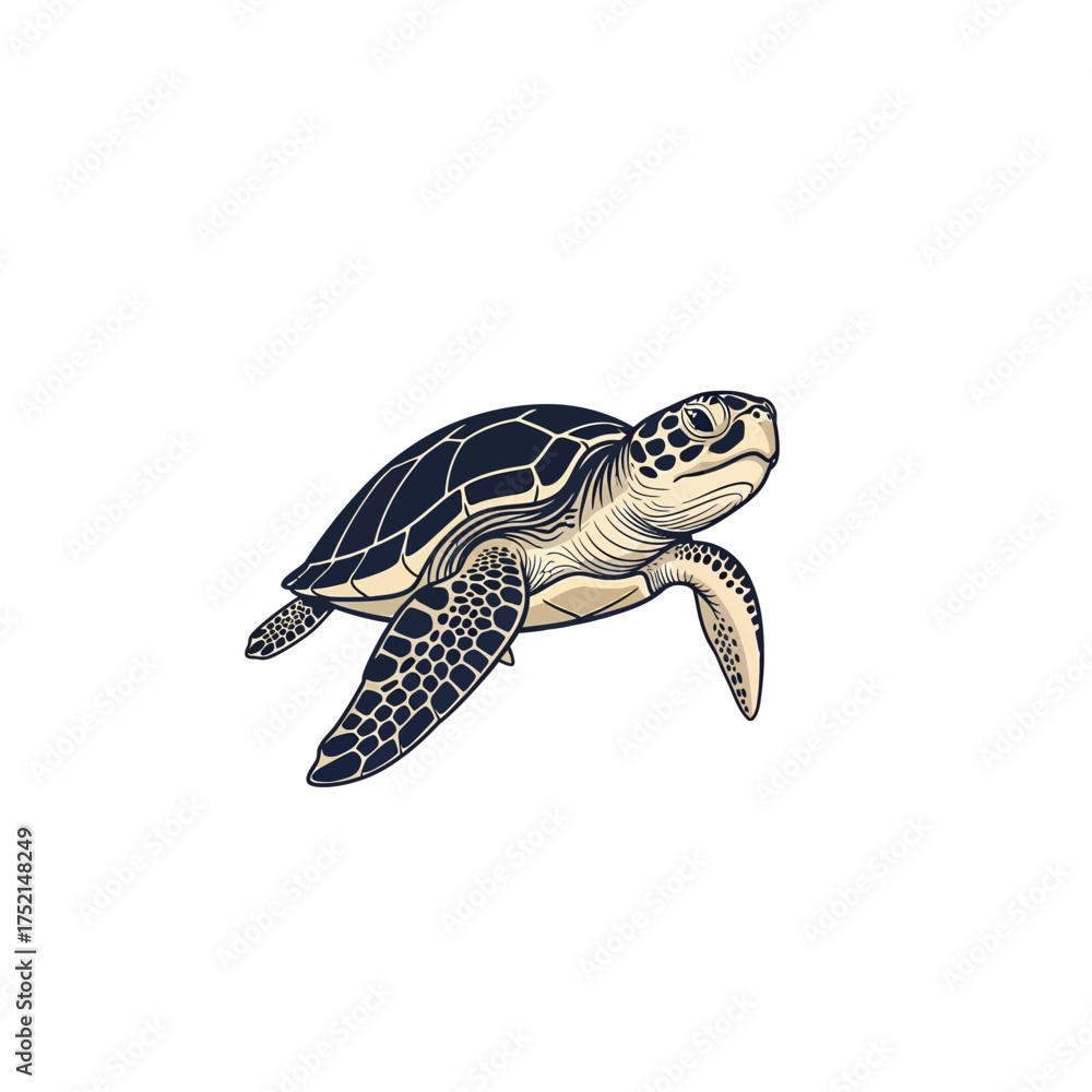 Obraz premium Detailed illustration of a sea turtle silhouette