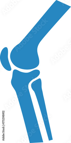 joint pain