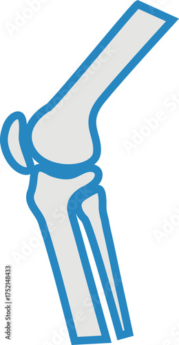 joint pain