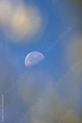 Mezza luna calante
