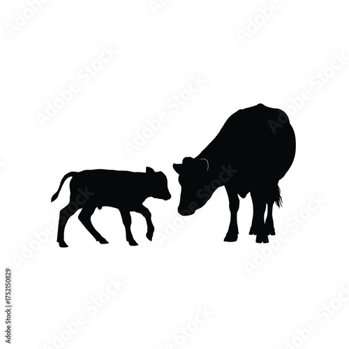 Mother cow and calf silhouette