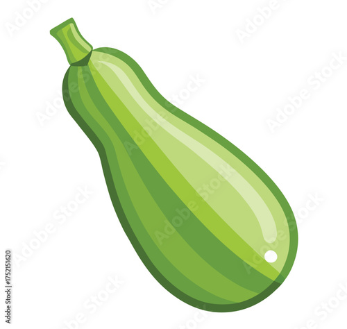 Fresh zucchini, a versatile and healthy vegetable