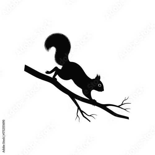 Squirrel leaping on a branch silhouette
