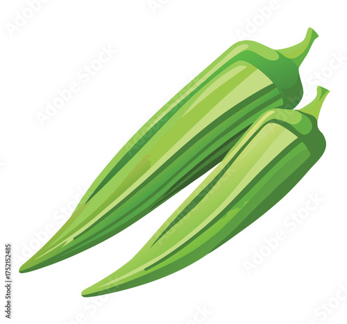 Two fresh green okra pods, ready to be cooked