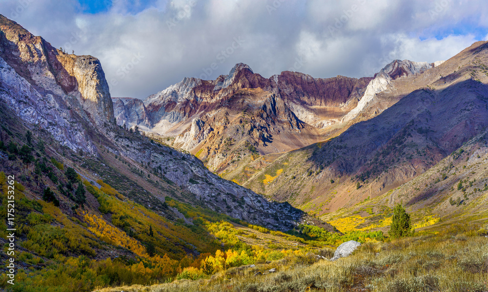Fototapeta premium McGee Creek Aspens