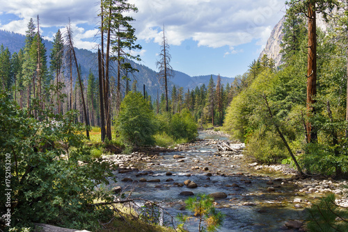 Rocky Kings River