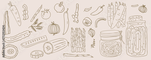 Pickle jar with cucumber,asparagus preserved vegetables doodle style.vector illustration for food design