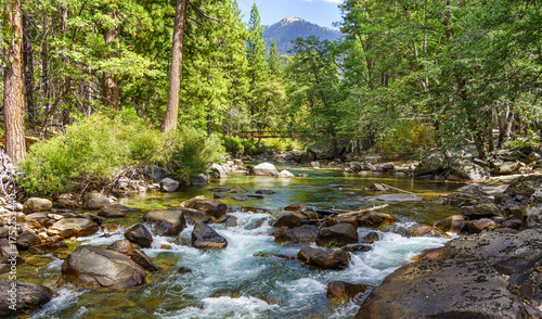 Kings Canyon River and Foot Bridge