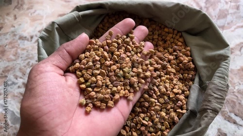 Chickpeas Falling from Hand | Raw Gram Pour Close-Up Natural Footage