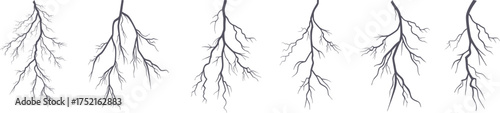 Realistic lightning vein pattern vector illustration featuring branching electric bolts. Abstract thunder energy effect design perfect for backgrounds and digital art. High detail storm texture.