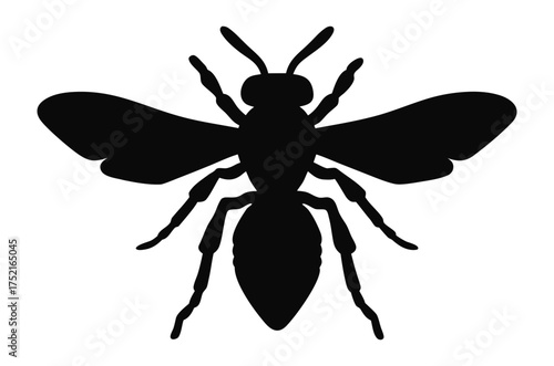 Wasp silhouette vector, Bee silhouette vector