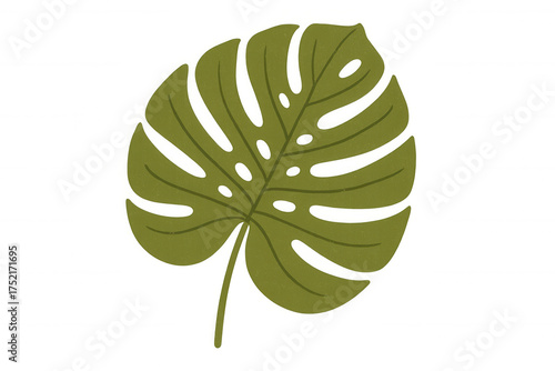 Monstera leaf illustration, tropical botanical foliage, green plant element on transparent background