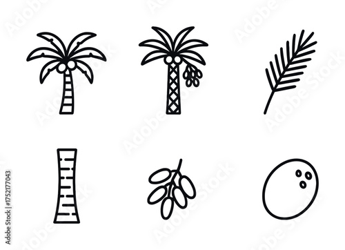 Vector Black and white palm tree icon set with coconuts and dates