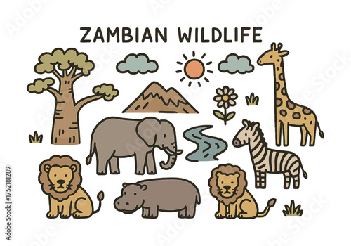 Vector Zambian wildlife illustration with elephant, lion, giraffe, and more