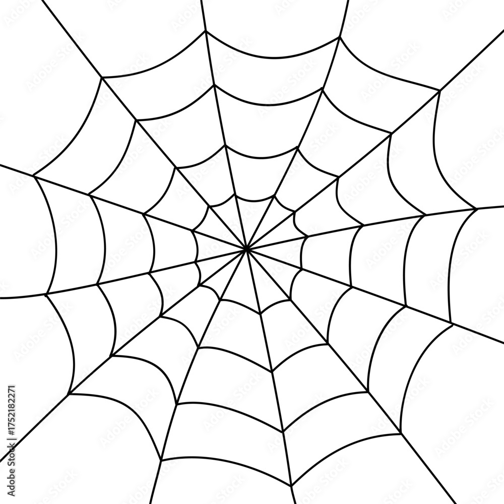Obraz premium Web spider isolated, spider cobweb, spiderweb halloween background