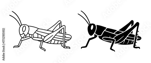 Grasshopper vector, outline version and silhouette version