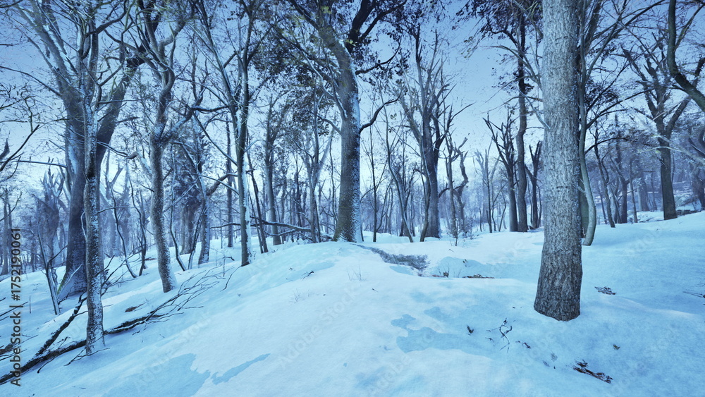 Fototapeta premium A quiet winter scene features tall trees draped in white snow under a clear blue sky. The landscape is peaceful, casting a chilly yet beautiful vibe typical of the season.