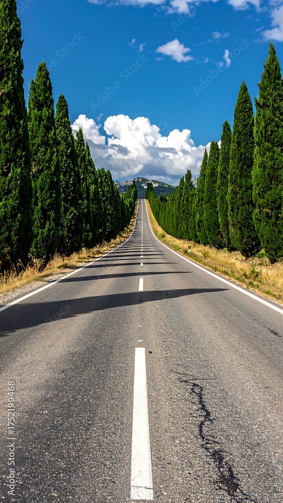 Fototapeta premium A sunlit, long, straight road is bordered by tall, green trees, leading toward distant hills