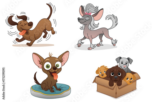 Set of funny cartoon dogs of different breeds, illustration of playful pets including dachshund, chinese crested, chihuahua and puppies in box