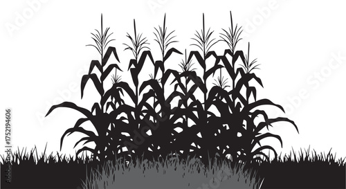 Silhouette of a cornfield with grass in the foreground isolated on transparent background