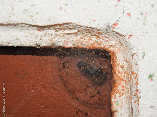 a wooden door with a cobweb around