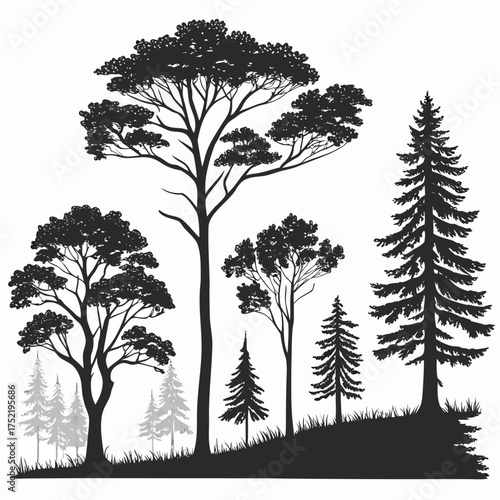 Collection of diverse tree silhouettes including deciduous and coniferous species set against a clean white background with a grassy foreground