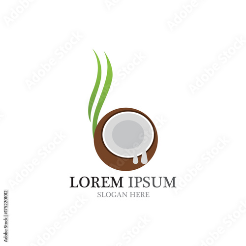 Coconut fruits vector ilustration