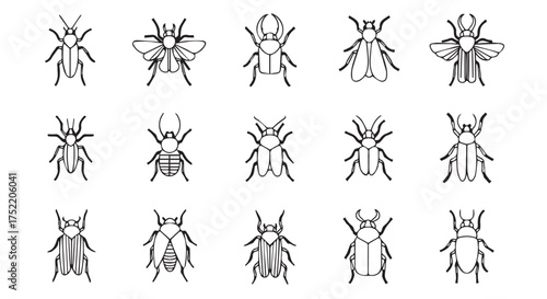 Collection of diverse beetle illustrations in a grid format isolated on transparent background