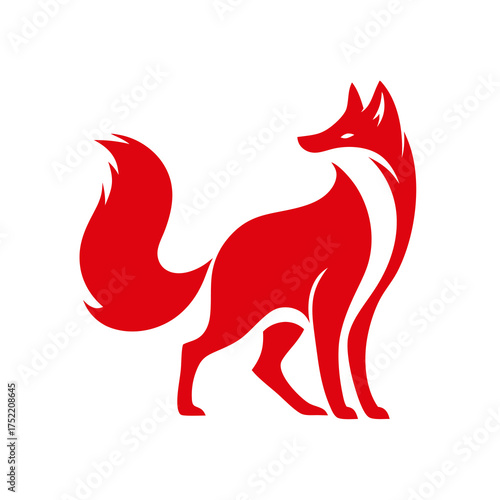 Red fox standing, profile view, on white background