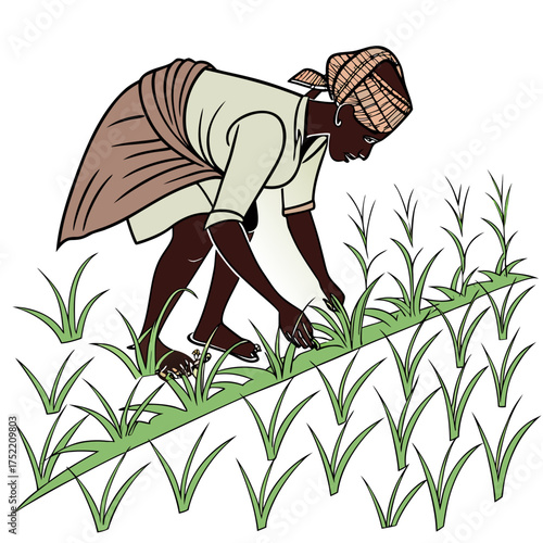 A woman wearing a headscarf and traditional clothing bends down to tend to crops in a field illustrating agricultural labor and rural life