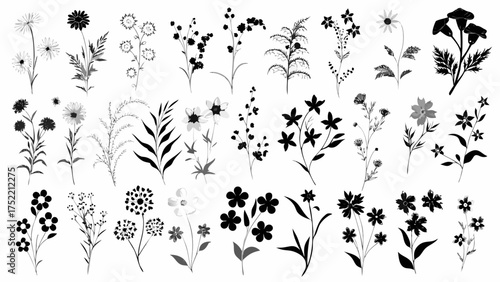 Elegant botanical collection featuring assorted delicate flower silhouettes perfect for sophisticated designs and nature-inspired artistry, originally scalable vector