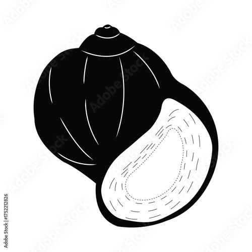 snail silhouette vector.eps