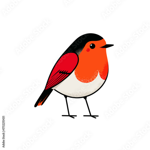 Charming cartoon bird illustration featuring vibrant orange and red breast, black head, and white body. Cute stylized avian artwork on white.
